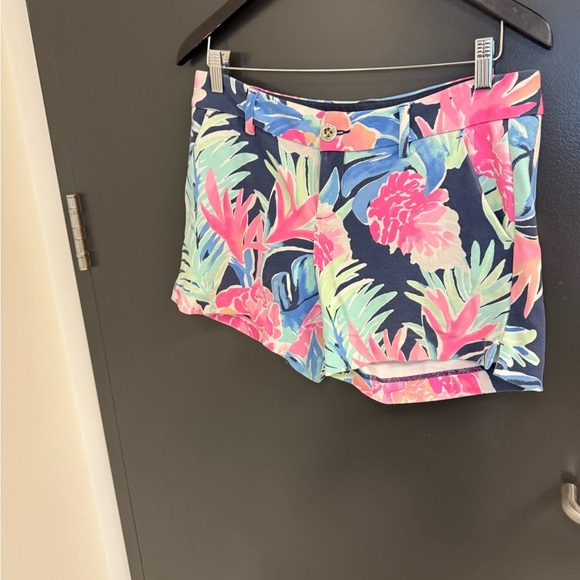 Lilly Pulitzer size 6 EUC Pink and Blue Shorts shorts muted bright - Picture 3 of 14